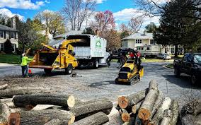 How Our Tree Care Process Works  in  Cleburne, TX